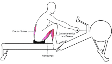 What does a rowing machine do for your body